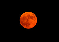 DSC_4207_edited - 2026-06-29 - Full Strawberry Moon rising