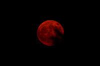 DSC_4165-1 - 2026-06-29 - Full Strawberry Moon rising