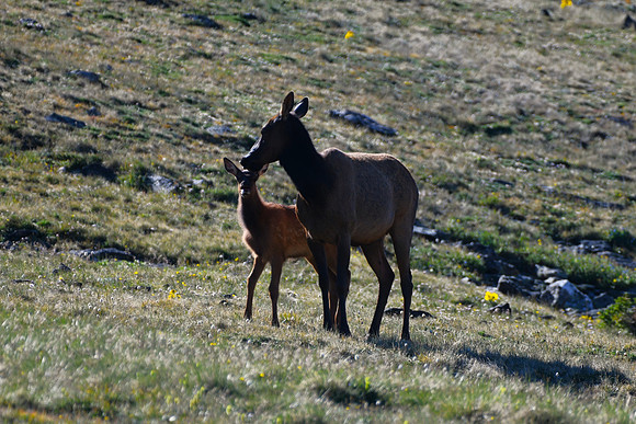 DSC_4714-1