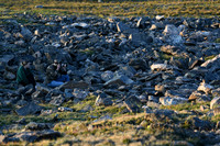 DSC_5492-1