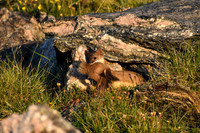 DSC_0233_edited-MXK