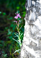 DSC_6150_edited