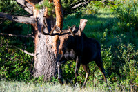 DSC_6113_edited