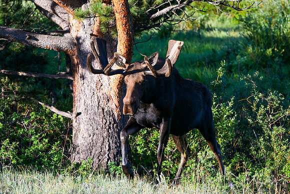 DSC_6113_edited