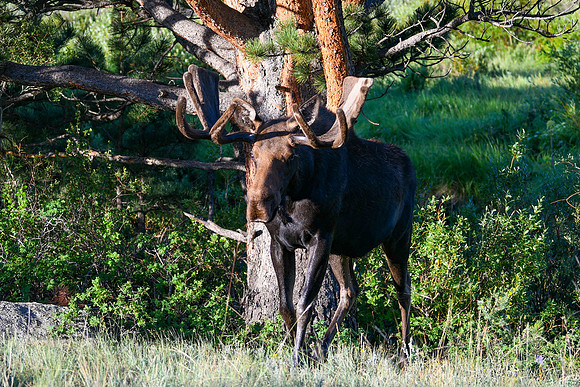 DSC_6118_edited
