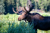 DSC_6084_edited-1