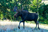 DSC_6124_edited