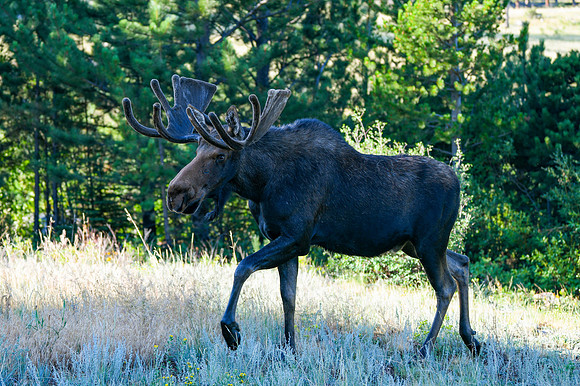 DSC_6124_edited