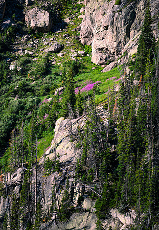 DSC_6156_edited