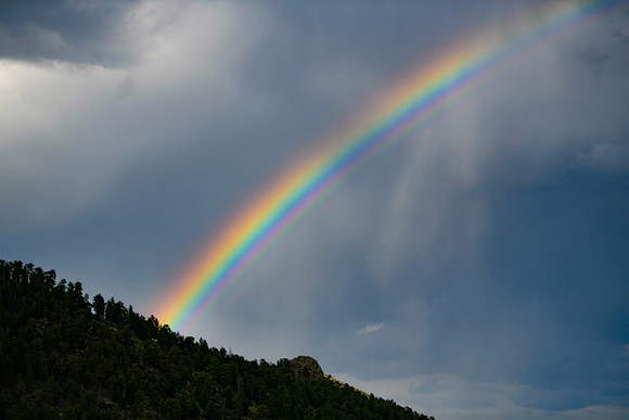 DSC_6607_edited-1