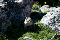 DSC_6288_edited