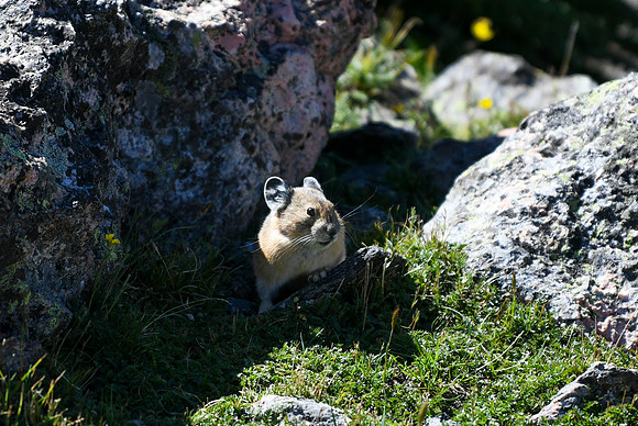 DSC_6288_edited