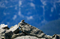 DSC_6273_edited