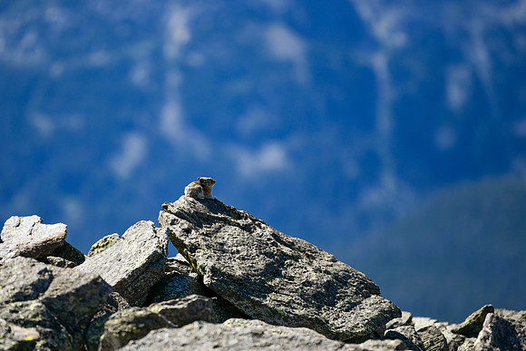 DSC_6273_edited