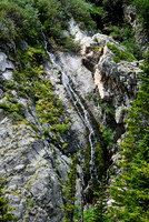 DSC_6299_edited-1
