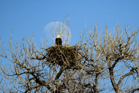 DSC_8456_edited