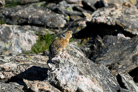 DSC_6840_edited - 2026-08-02