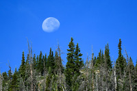 DSC_6685_edited - 2026-08-02