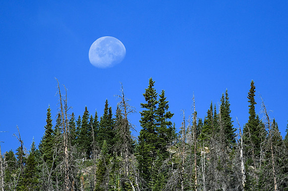 DSC_6685_edited - 2026-08-02