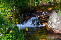 DSC_6720_edited - 2026-08-02