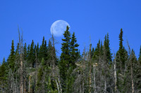 DSC_6713_edited - 2026-08-02