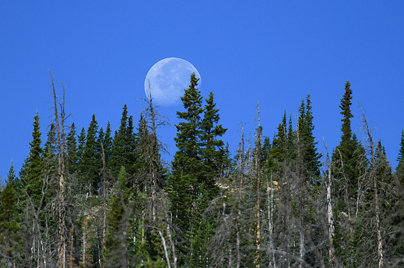 DSC_6713_edited - 2026-08-02