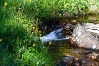 DSC_6721_edited - 2026-08-02