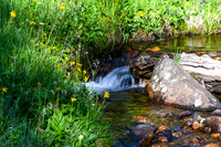 DSC_6723_edited - 2026-08-02
