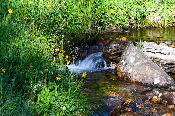 DSC_6723_edited - 2026-08-02