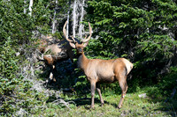 DSC_6761_edited - 2026-08-02