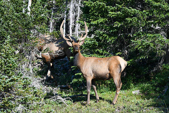 DSC_6761_edited - 2026-08-02