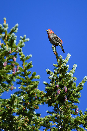 DSC_6805_edited - 2026-08-02