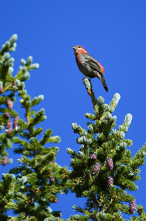DSC_6805_edited-2 - 2026-08-02