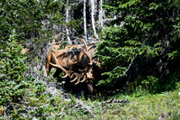 DSC_6763_edited - 2026-08-02