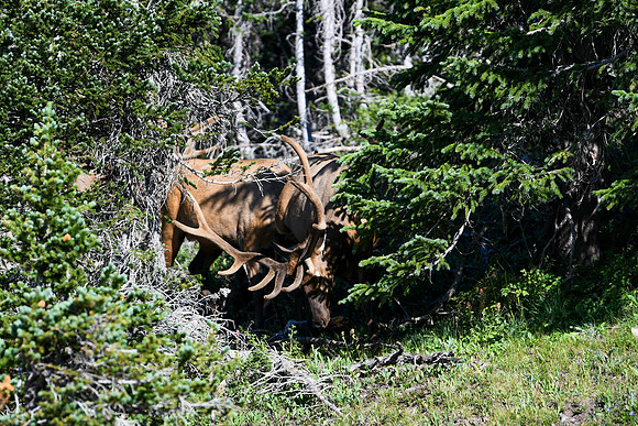 DSC_6763_edited - 2026-08-02