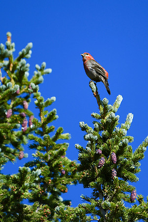 DSC_6806_edited - 2026-08-02