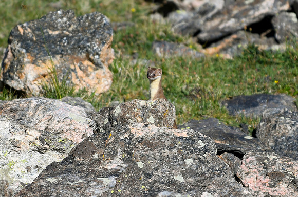 DSC_6949_edited - 2026-08-02