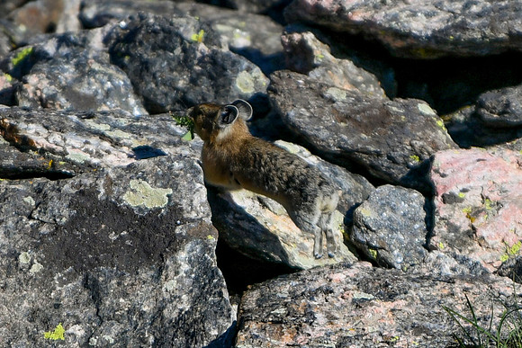 DSC_6852_edited - 2026-08-02