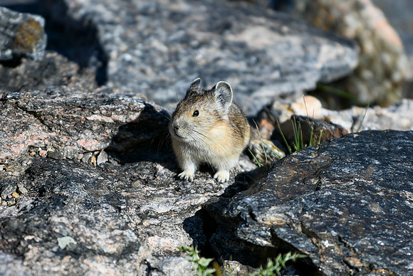 DSC_6895_edited - 2026-08-02