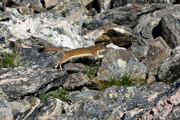 DSC_6958_edited - 2026-08-02