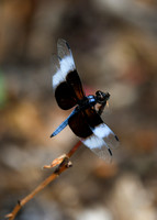 DSC_6646_edited-vert 5x7