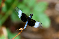 DSC_6637_edited