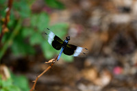 DSC_6628_edited
