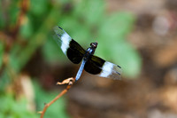 DSC_6638_edited