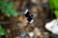 DSC_6646_edited