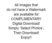 Complimentary Download