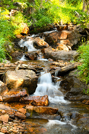 DSC_7226_edited - 2026-08-08