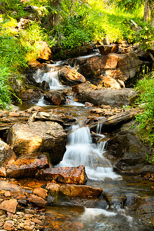 DSC_7222_edited - 2026-08-08