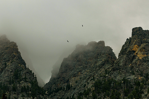 DSC_8259_edited