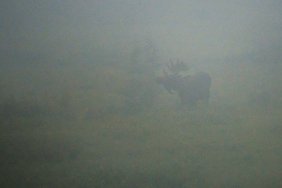 DSC_8688_edited-2